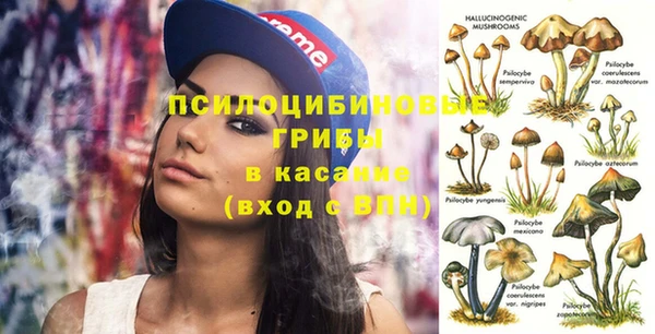 гидра Переславль-Залесский