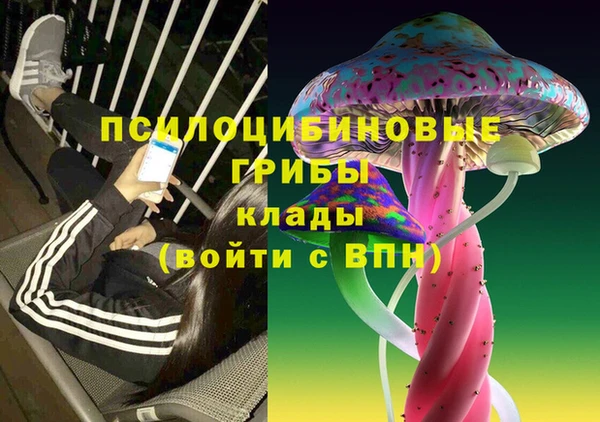 mix Пересвет