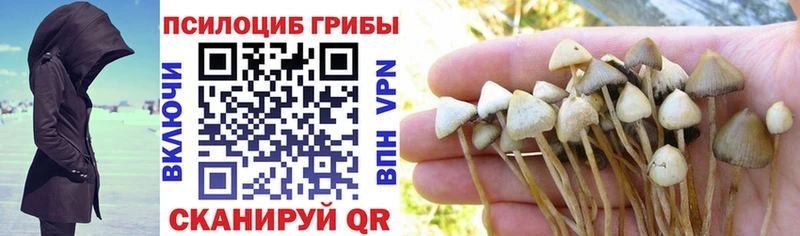 Галлюциногенные грибы мицелий  Рославль 