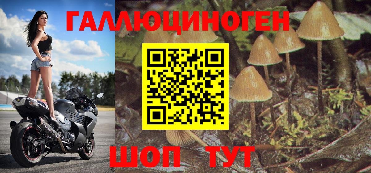 Галлюциногенные грибы MAGIC MUSHROOMS  Галлюциногенные грибы мухоморы  Вход с VPN  Рославль 